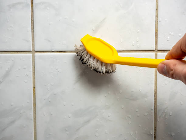  , KS Mold Removal Pros