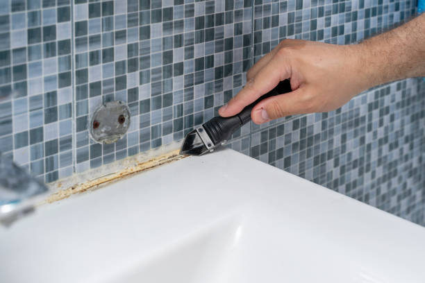 Best Black Mold Removal  in , KS